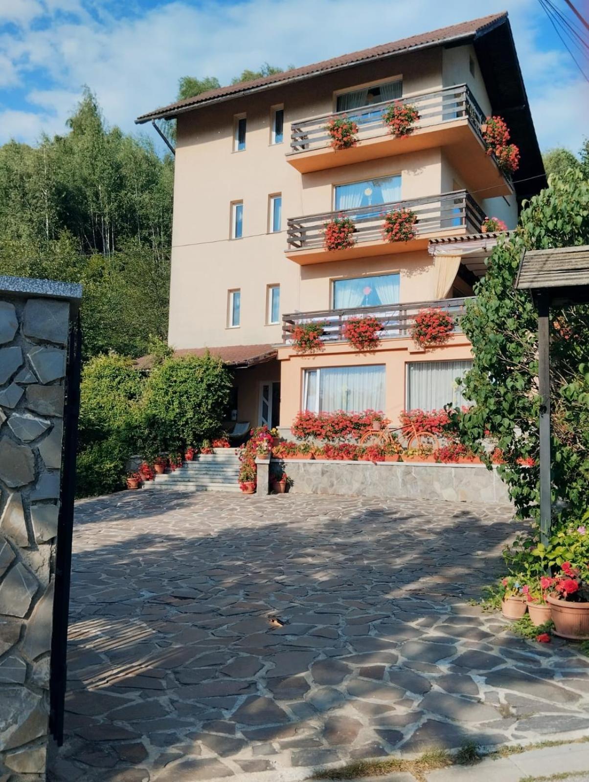 Pensiunea Transilvania Lodge Bran  Exterior photo